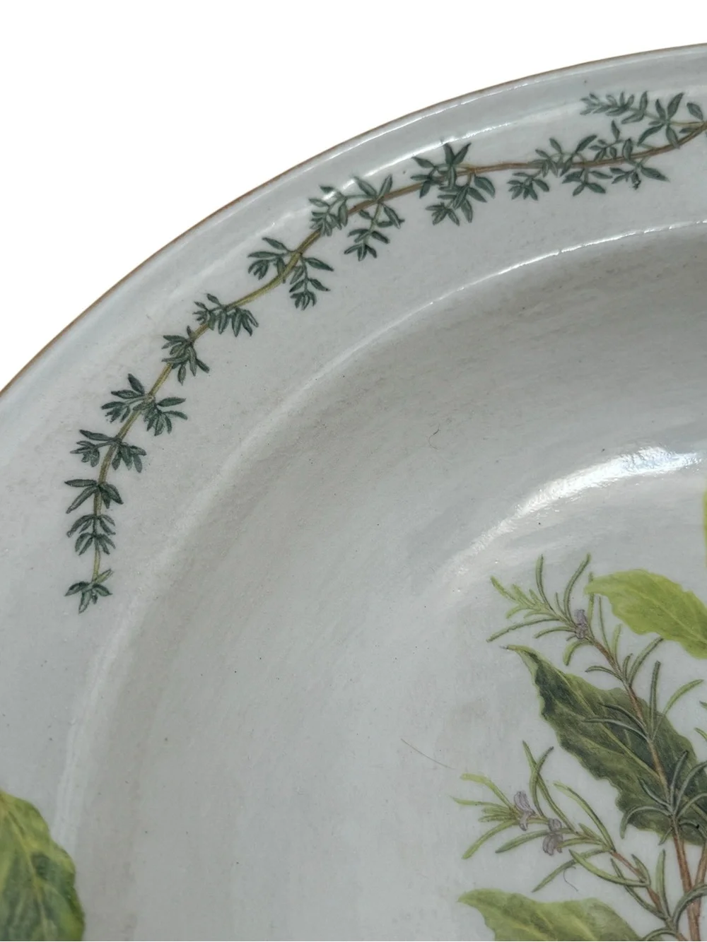 Vintage Williams Sonoma Italy Herb 15” Serving Pasta Bowl Discontinued RARE